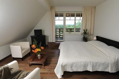Hostal Penzion Vila Elektra