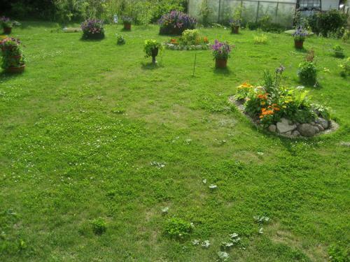 Bed & Breakfast Guest House Valerina