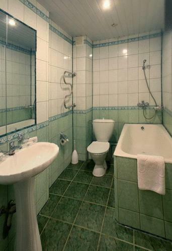 Hotel Solovyinaya Roscha