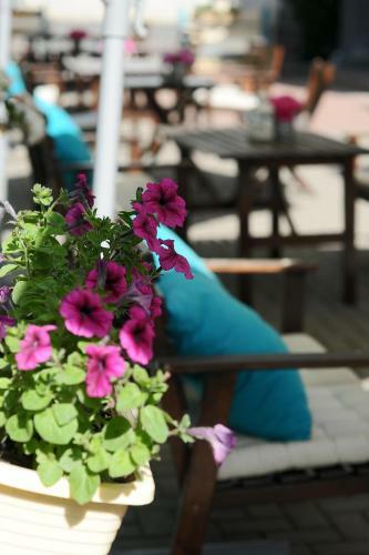 Avrora Business Hotel And Spa