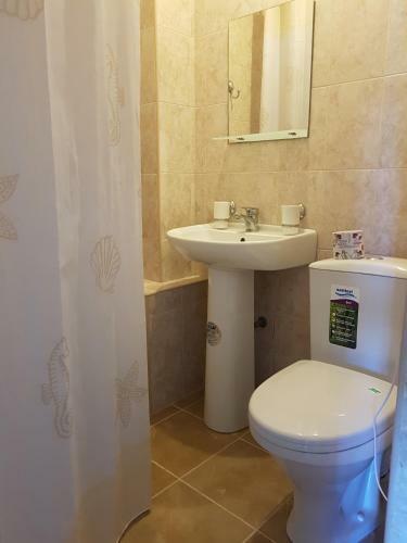 Hostal Avgusta Guest House