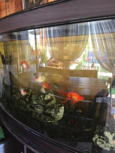 Hostal Guest House Edinstvo 35