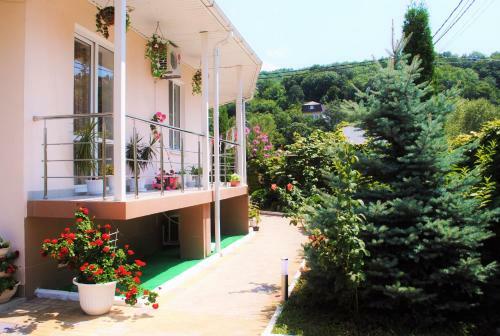 Hostal Edelveis Guest House