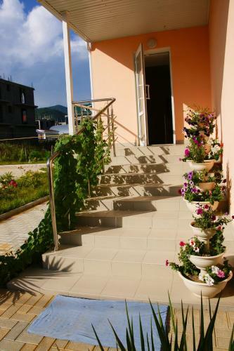 Hostal Edelveis Guest House