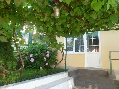 Hostal Guest House Gorka