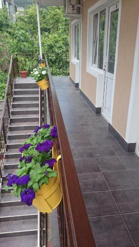Hostal U Kota Guest House