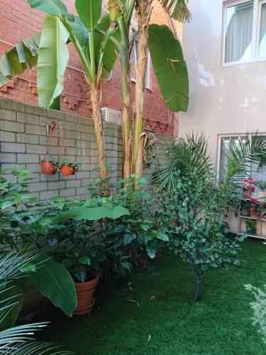 Hostal Guest House Lazurit Yug
