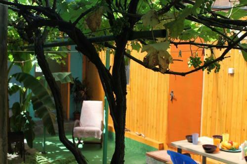 Albergue Apartments U Morya
