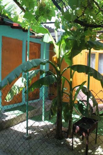 Albergue Apartments U Morya
