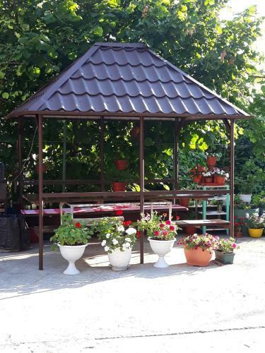 Hostal Zeleniy Samshit