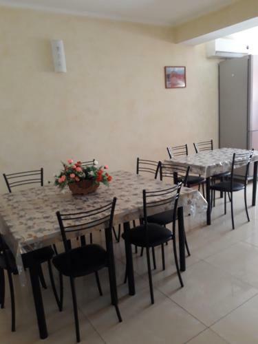 Hostal Zeleniy Samshit