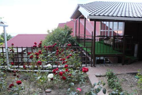 Posada Guest House Liza