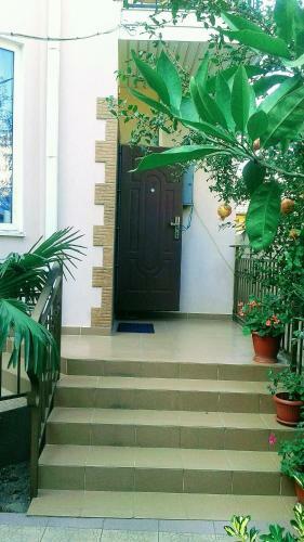 Hostal Planeta Guest House