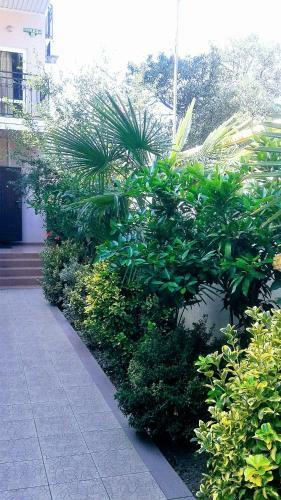 Hostal Planeta Guest House