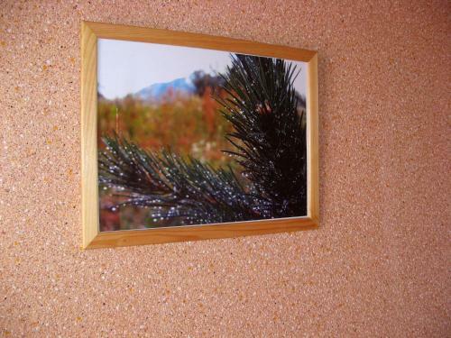 Hostal Svirskiy Pliazh Guest House