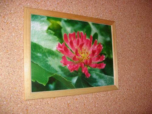 Hostal Svirskiy Pliazh Guest House