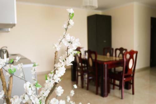 Hostal Laza Villa
