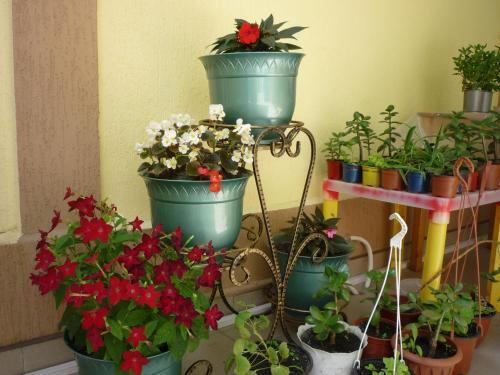 Hostal Guest House Yana
