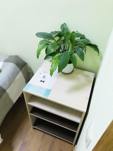 Hostel Zakhodi Na Paveletskoy