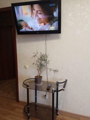 Apartment Nizhegorodskaya
