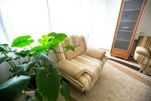 Luxury Apartment On Syuyumbike