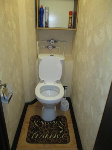 Apartment On Baumana 10