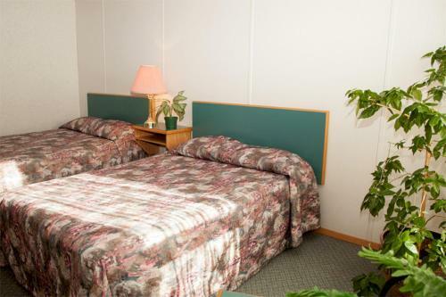 Hotel Alberta House