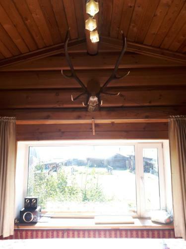 Hostal Cottage And Sauna In Baikal