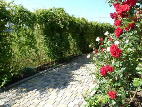 Hostal Guest House Ecohouse Belye Rosy