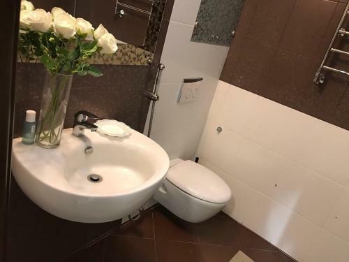 Apartamenty Na Delovoi 24/2
