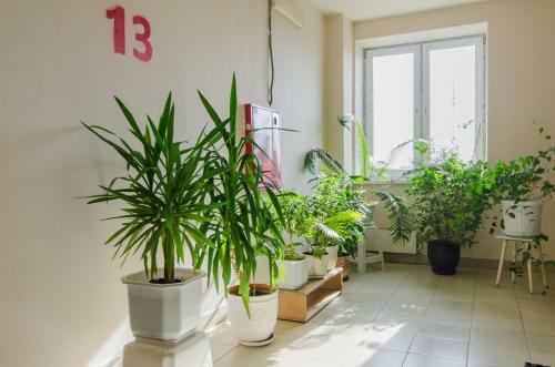 Apartamento ?????-??? - ???????