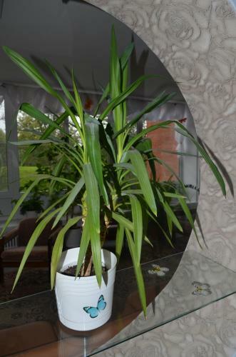 Roza Vetrov Hotel