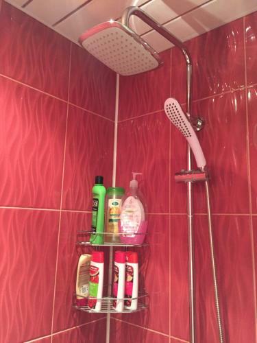 Apartment U Vokzalov Na Oktyabrskoy
