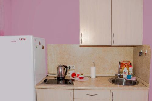 Apartment Comfort Tsiolkovskogo 57