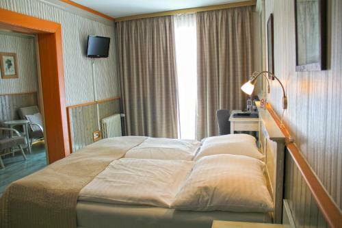 Hotel Maxant