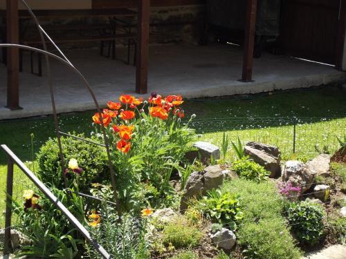 Hostal Penzion Restaurace U Racaku