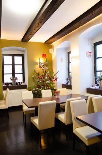 Hostal Pension N.10