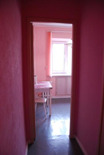Apartment On Krasnyy Pr. 94