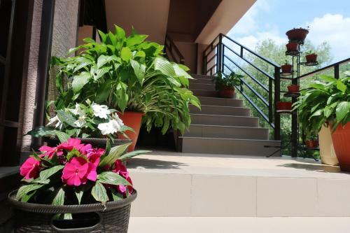 Hostal Guest House Shokolad