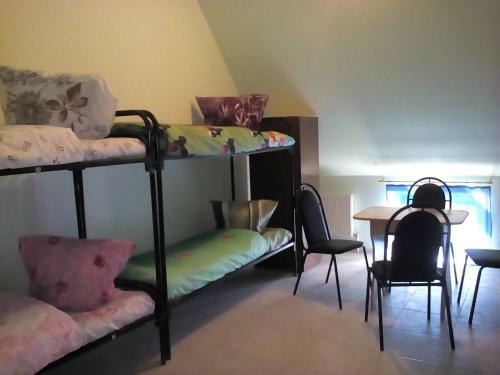 Hostel Dom