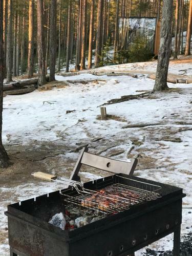 Greenvald Park Scandinavia