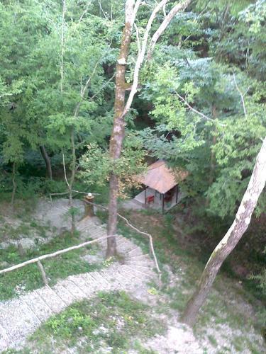 Dikiy Bereg Guest House