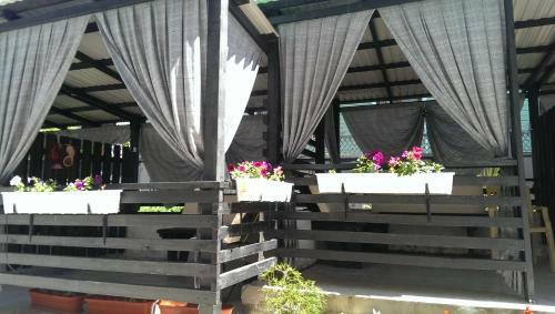Hostal Vek Guest House