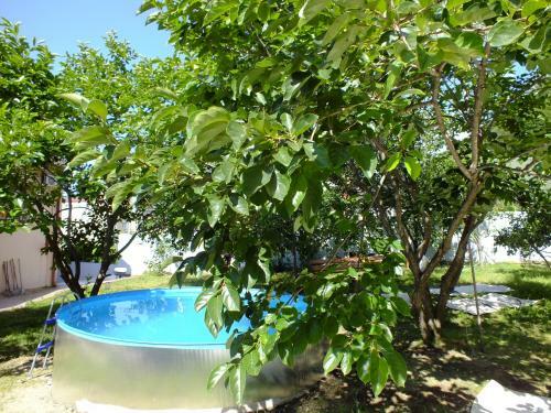 Hostal Guest House On Solnechnaya 13