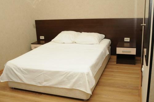 Hostal Aleksandriya Guest House