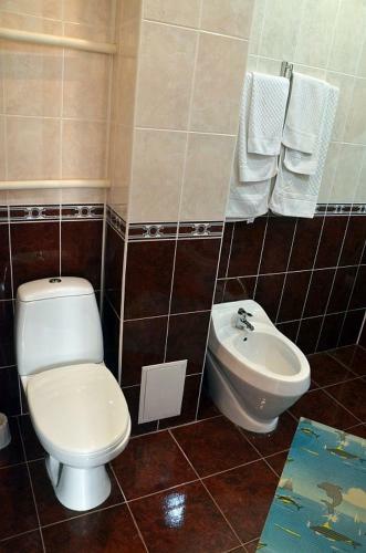 Hotel Gostinitsa Victoriya