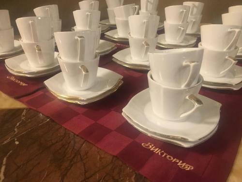 Hotel Gostinitsa Victoriya