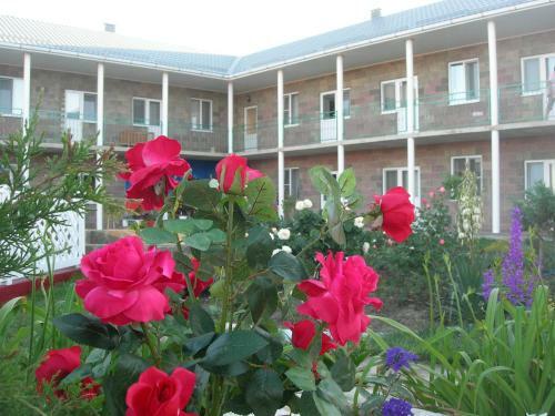 Hostal Guest House Sankt-peterburg