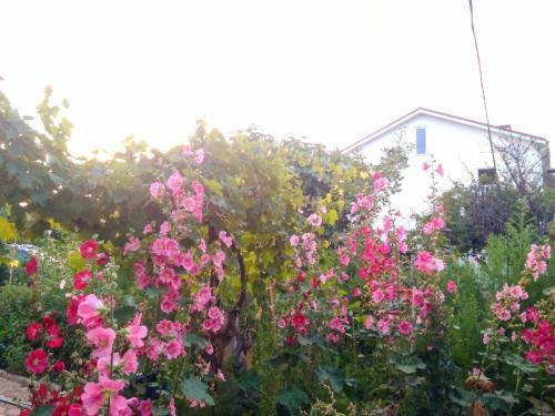 Hostal Pansion Paradise