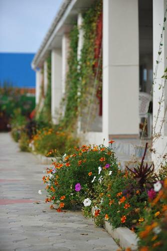 Hostal Pansion Paradise